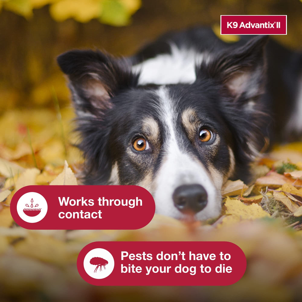 Two-dose K9 Advantix pack displayed for convenient monthly treatments