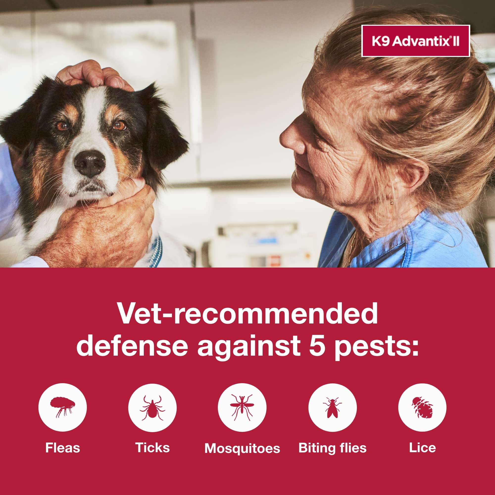 K9 Advantix applied to dog neck demonstrating fast spot-on treatment