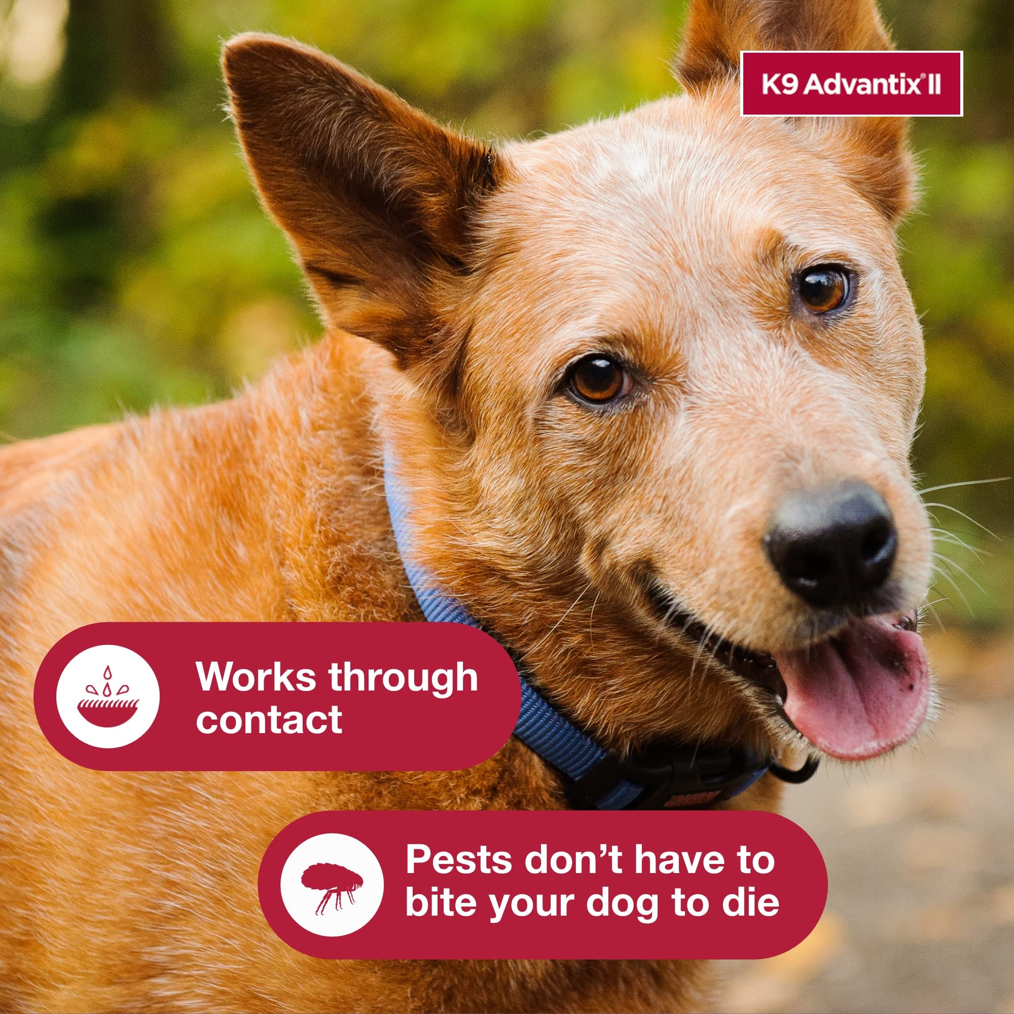 K9 Advantix two-dose box showing convenient monthly supply