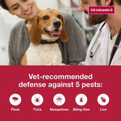 K9 Advantix small dog next to ruler showing 4–10 lb weight suitability