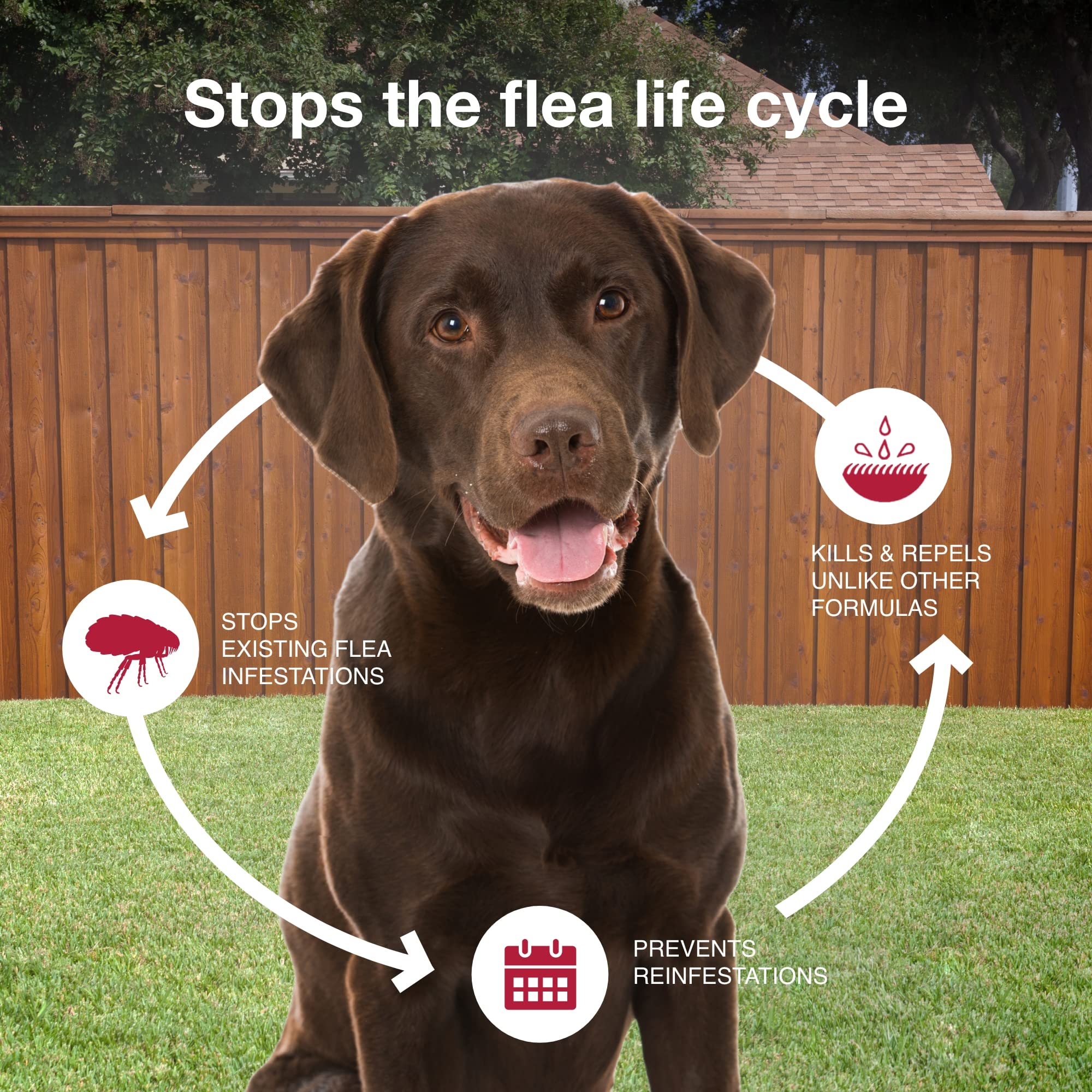 K9 Advantix with scale indicating suitable 21–55 lb weight range
