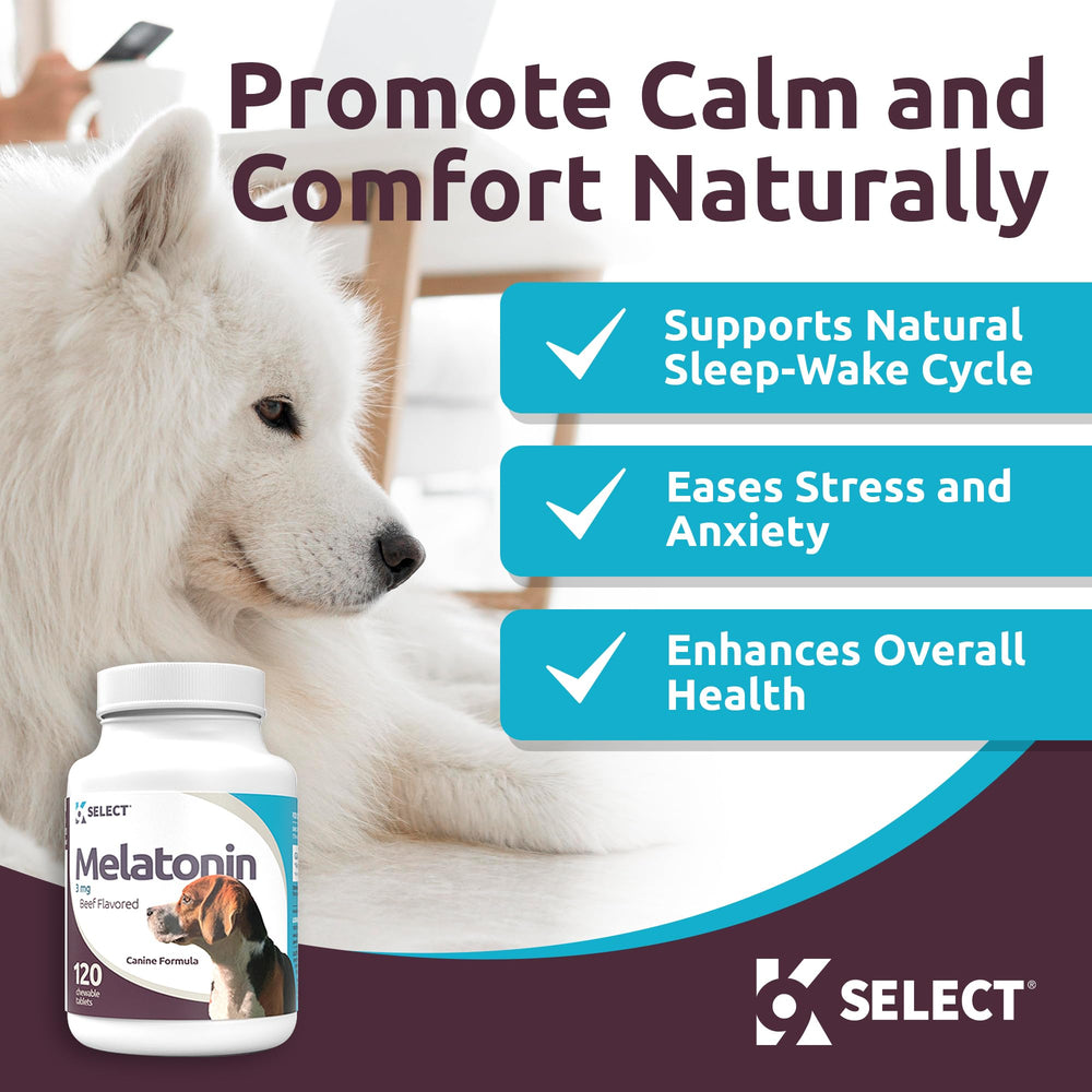 Close-up of beef-flavored chewable tablet texture for K9 Select calming support