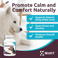Close-up of beef-flavored chewable tablet texture for K9 Select calming support
