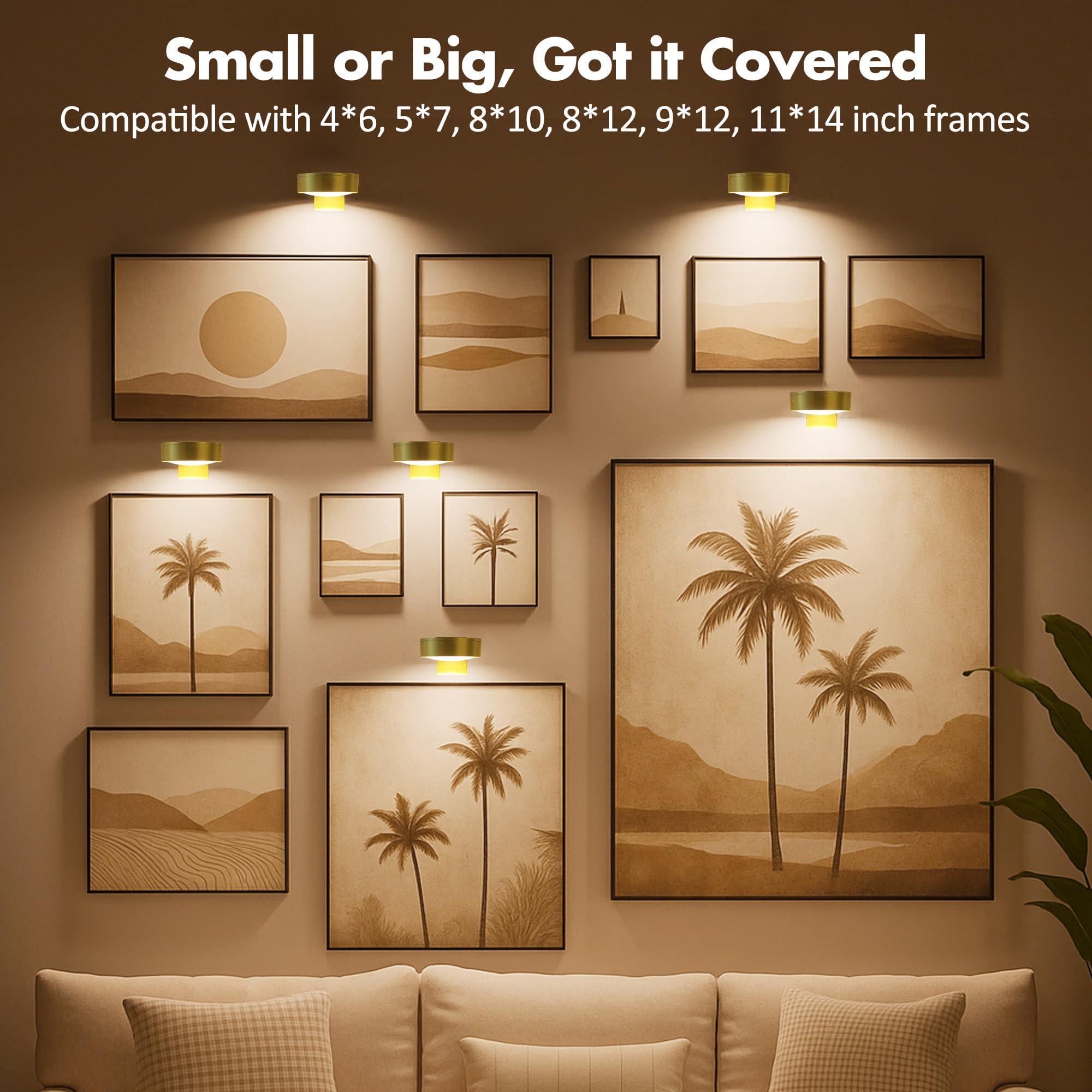 Kandicyar three-pack laid out to show size and value in a compact set