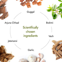 Assorted herbs in the formula displayed with Kapiva bottle emphasizing natural blend