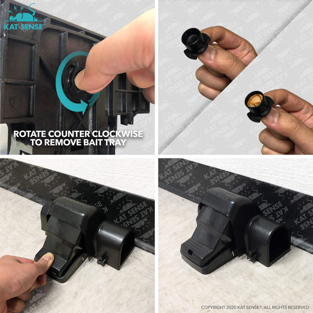 Kat Sense trap placed along baseboard showing effective indoor placement