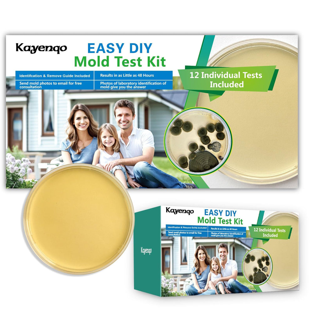 KAYENQO kit beside common household items to show compact size and portability