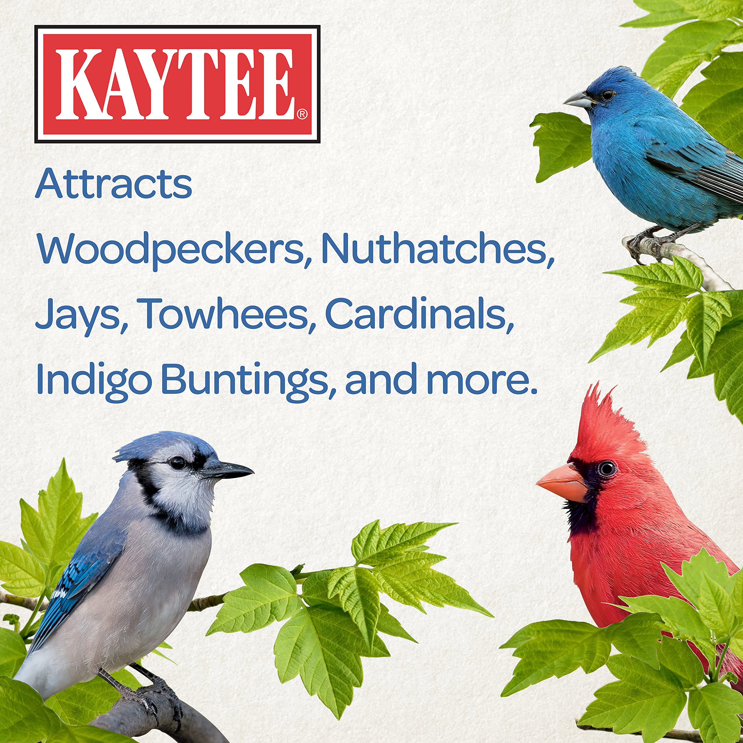 Kaytee peanut in shell being eaten by a cardinal illustrating high-energy wildlife food