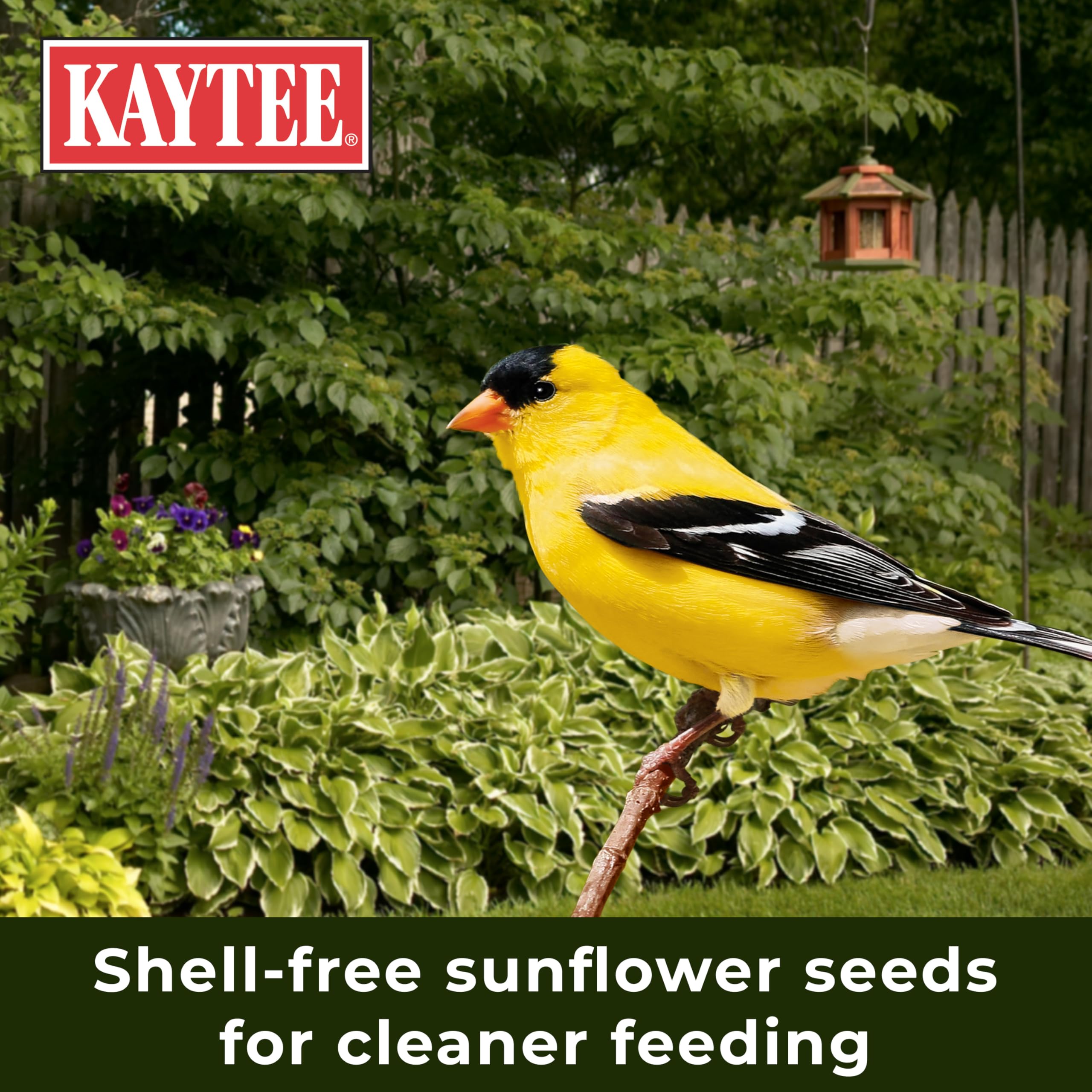Kaytee product label and panel clear ingredient information for shoppers