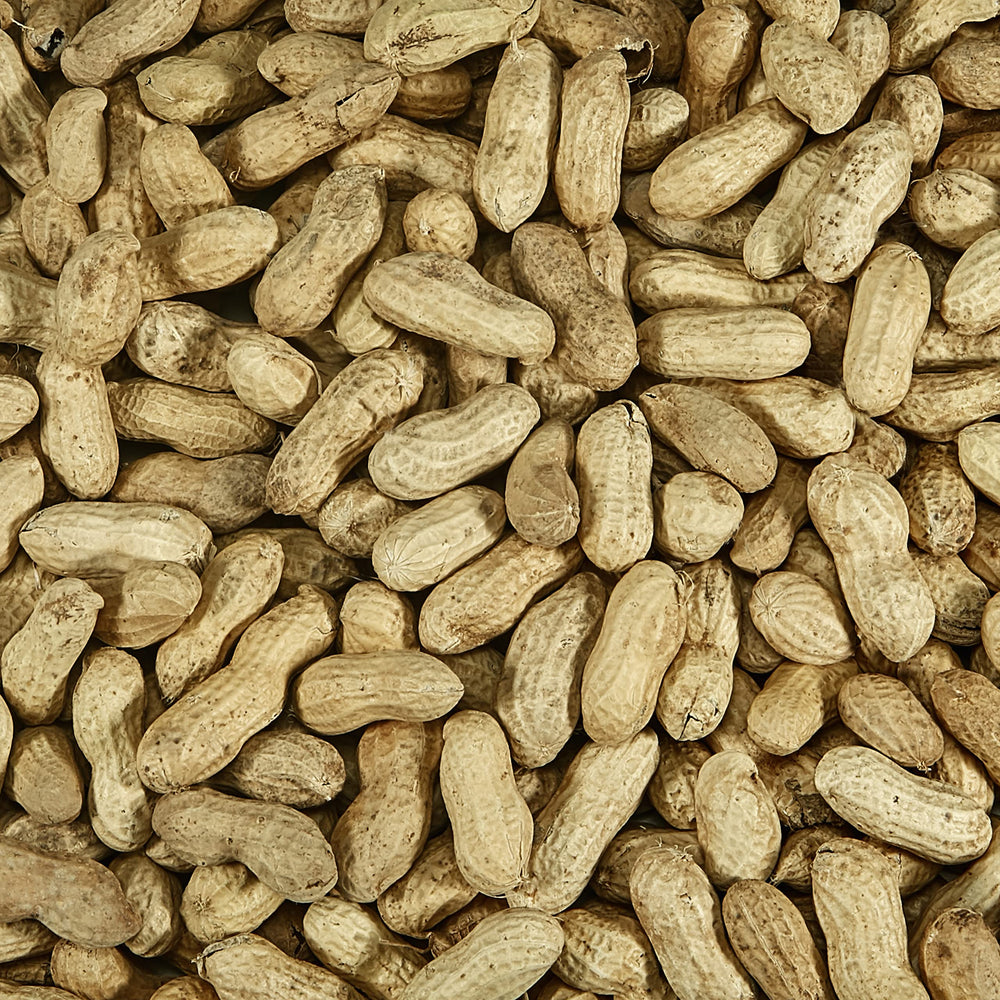 Kaytee peanuts loaded in a platform feeder attracting multiple species to your yard