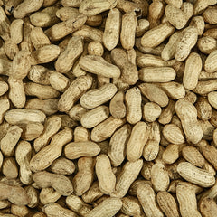 Kaytee peanuts loaded in a platform feeder attracting multiple species to your yard