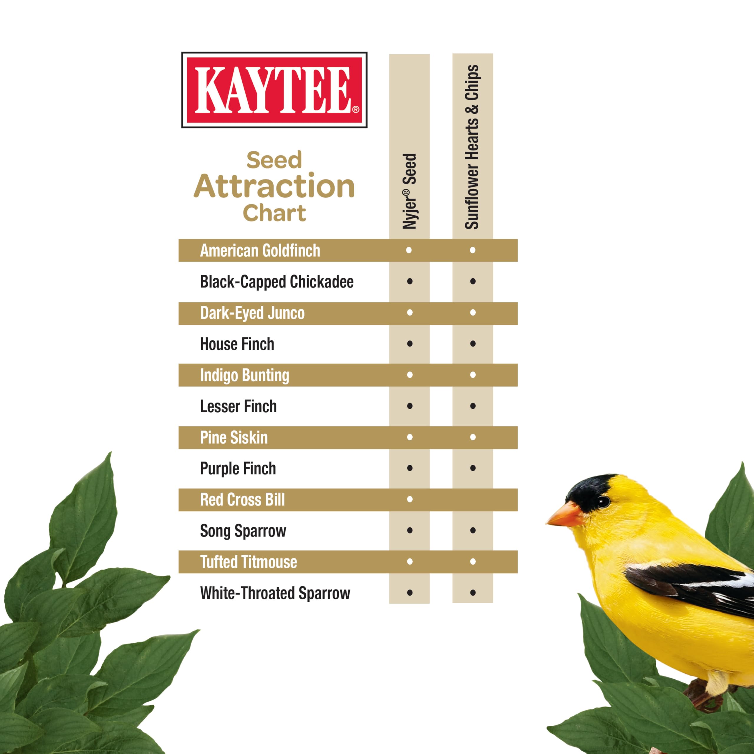 Kaytee platform feeder with chickadee and finch demonstrating variety attracted