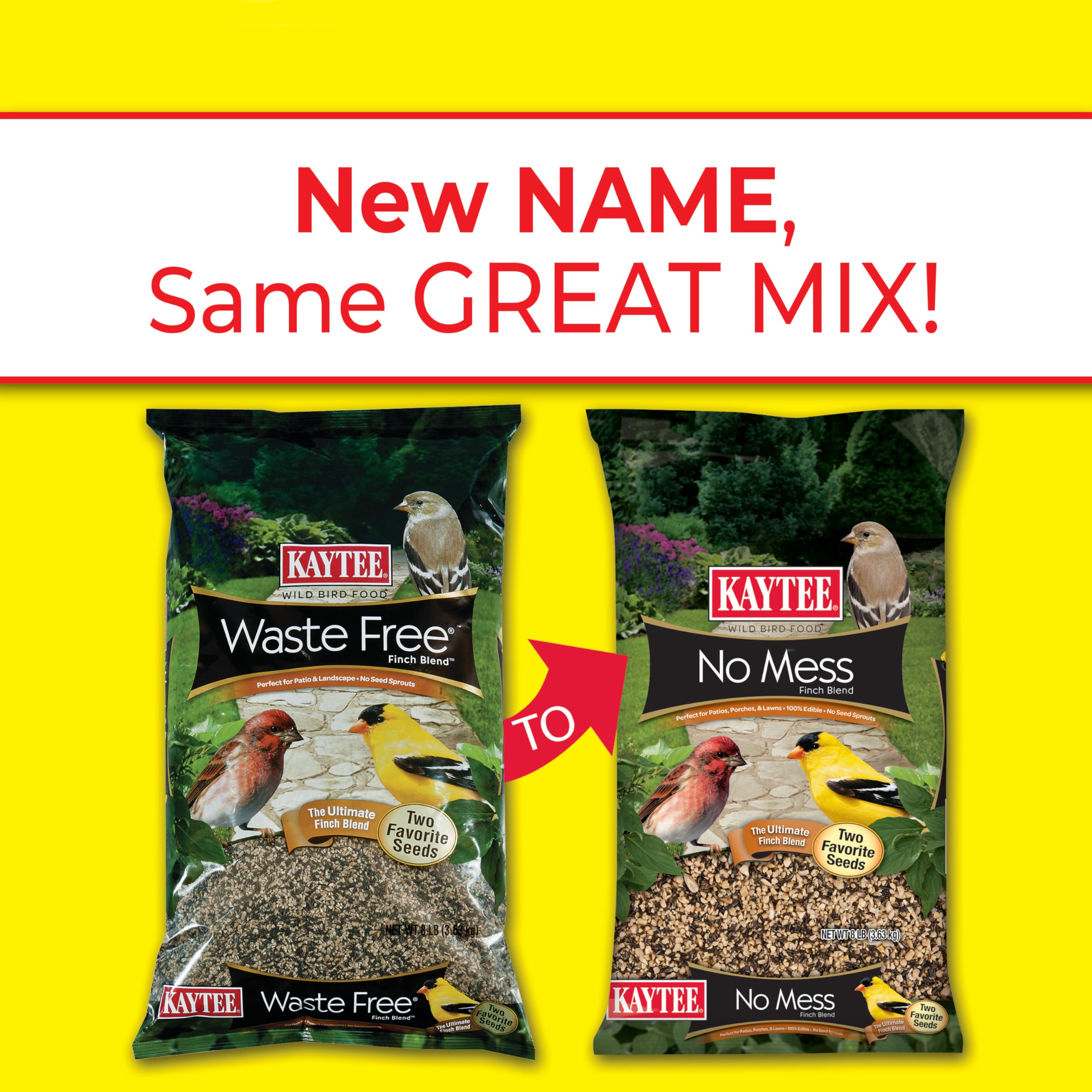 Kaytee seed texture detail showing clean, hull-free mix for less mess