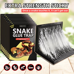 KBGYTX single large sticky pad laid flat for wide coverage and ease