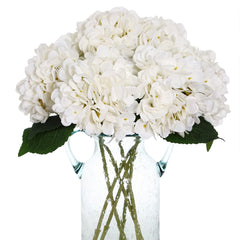 Kimura's Cabin front packaging showing six white hydrangea stems, ready to display