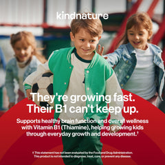 kindnature ingredient label close-up highlighting thiamine 500 mg and clean ingredients