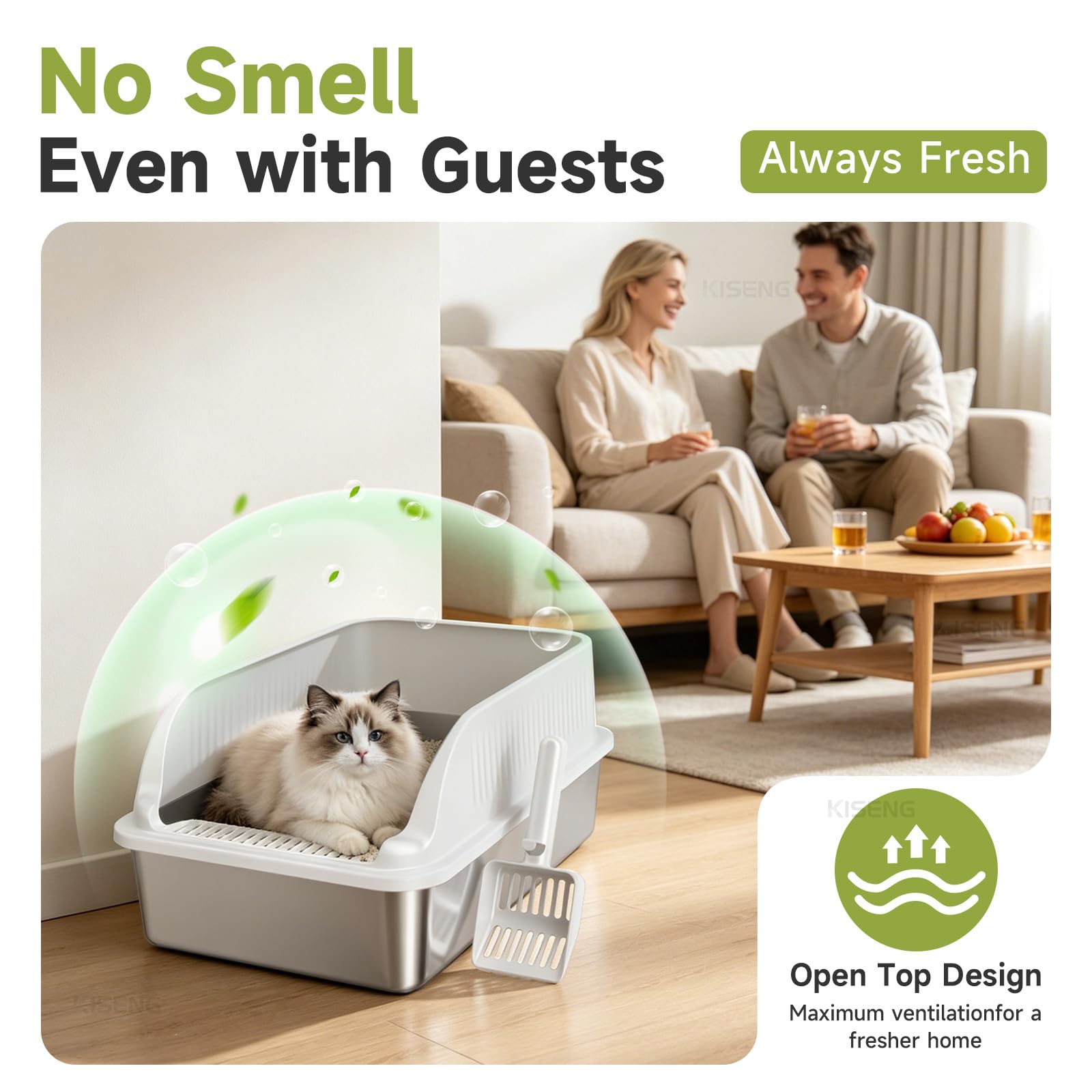 KISENG interior showing roomy dimensions for larger cats and comfortable movement