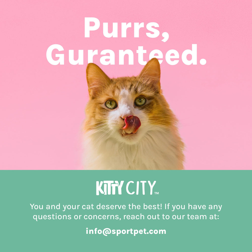 Kitty City scratcher staged in living room blending protection with decor