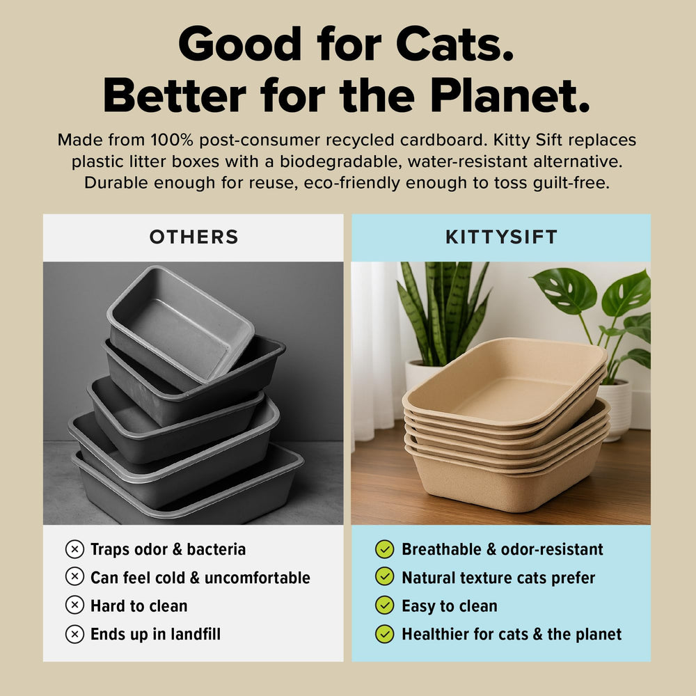 Kitty Sift roomy surface filled with litter for comfortable digging