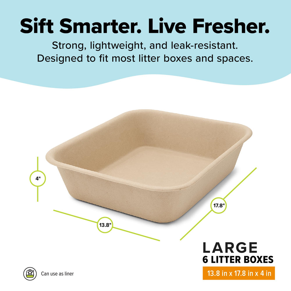 Kitty Sift low entry profile visible and accessible for kittens and seniors