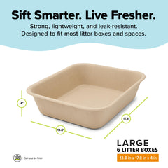 Kitty Sift low entry profile visible and accessible for kittens and seniors