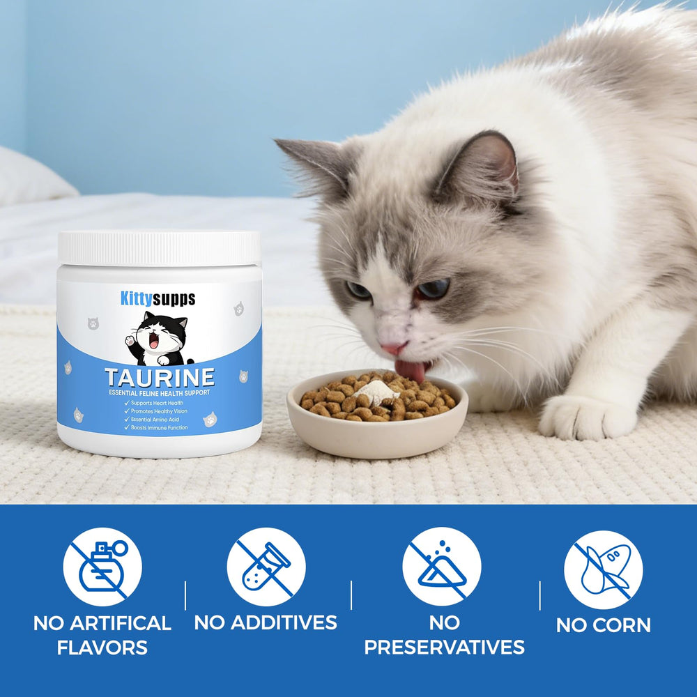 Cat eating a meal with Kittysupps supplement highlighting improved routine