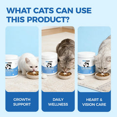 Kittysupps powder blended into wet food demonstrating simple use
