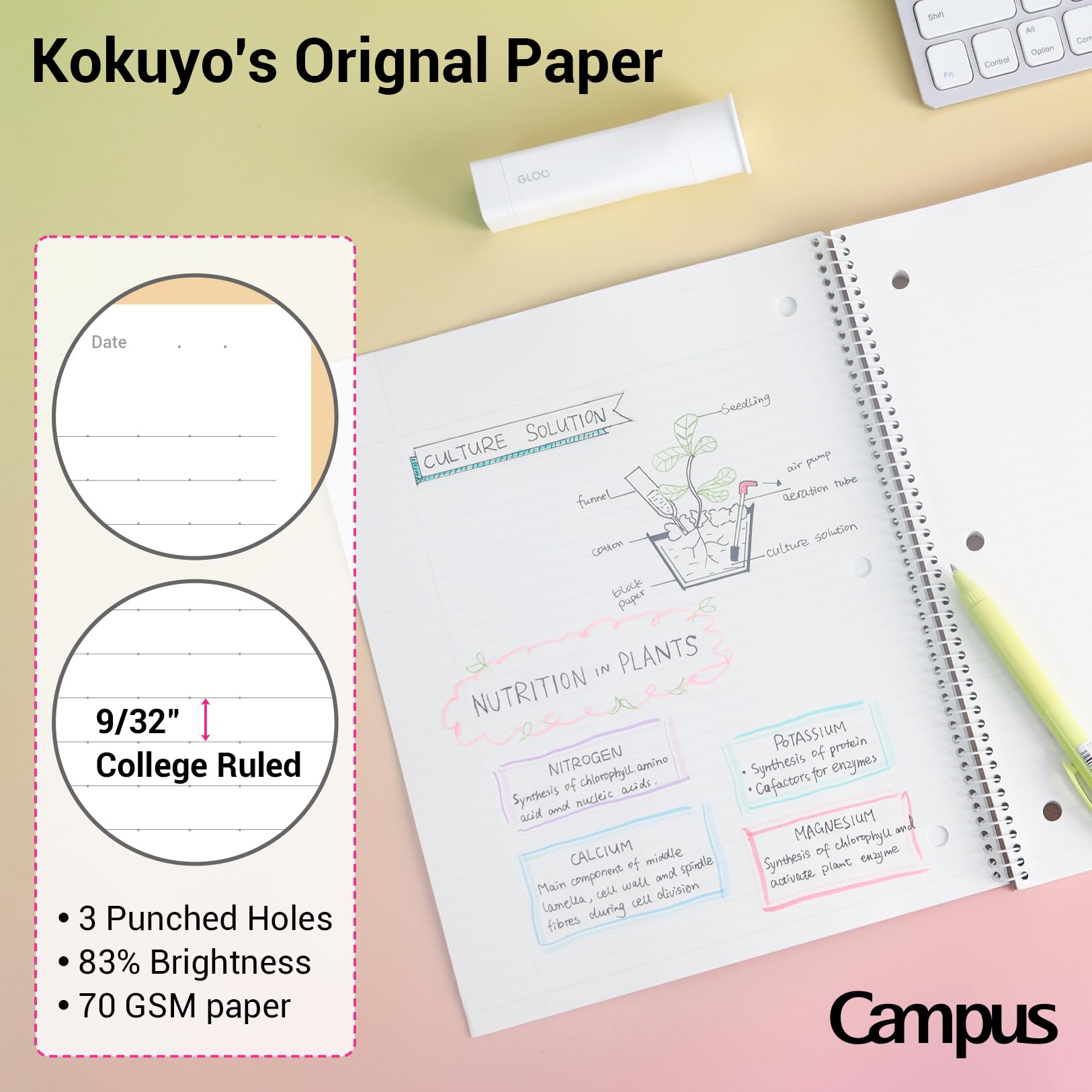 KOKUYO perforation and three holes close-up enabling clean removal and filing