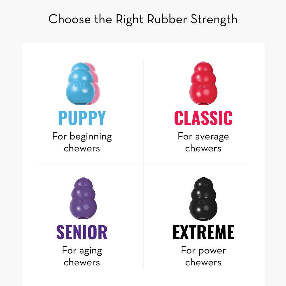 KONG on dishwasher rack noting easy-clean convenience benefit