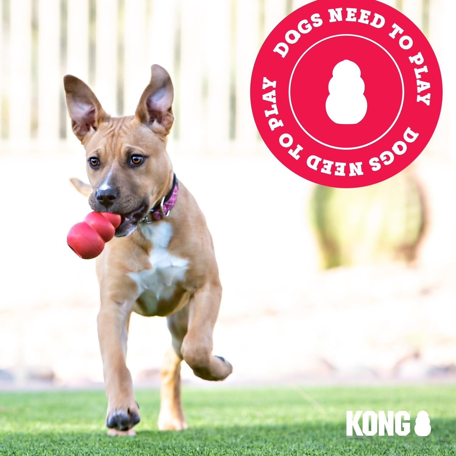 KONG Wobbler in dishwasher rack showing easy-clean benefit