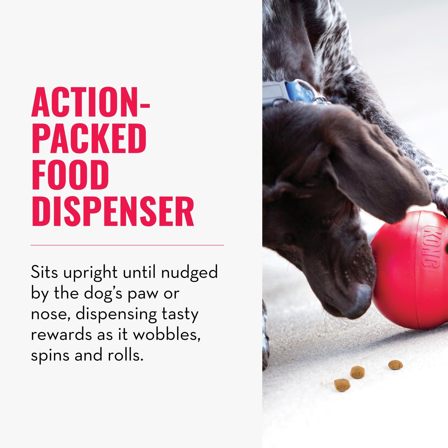 KONG Wobbler mid-wobble demonstrating interactive play benefit