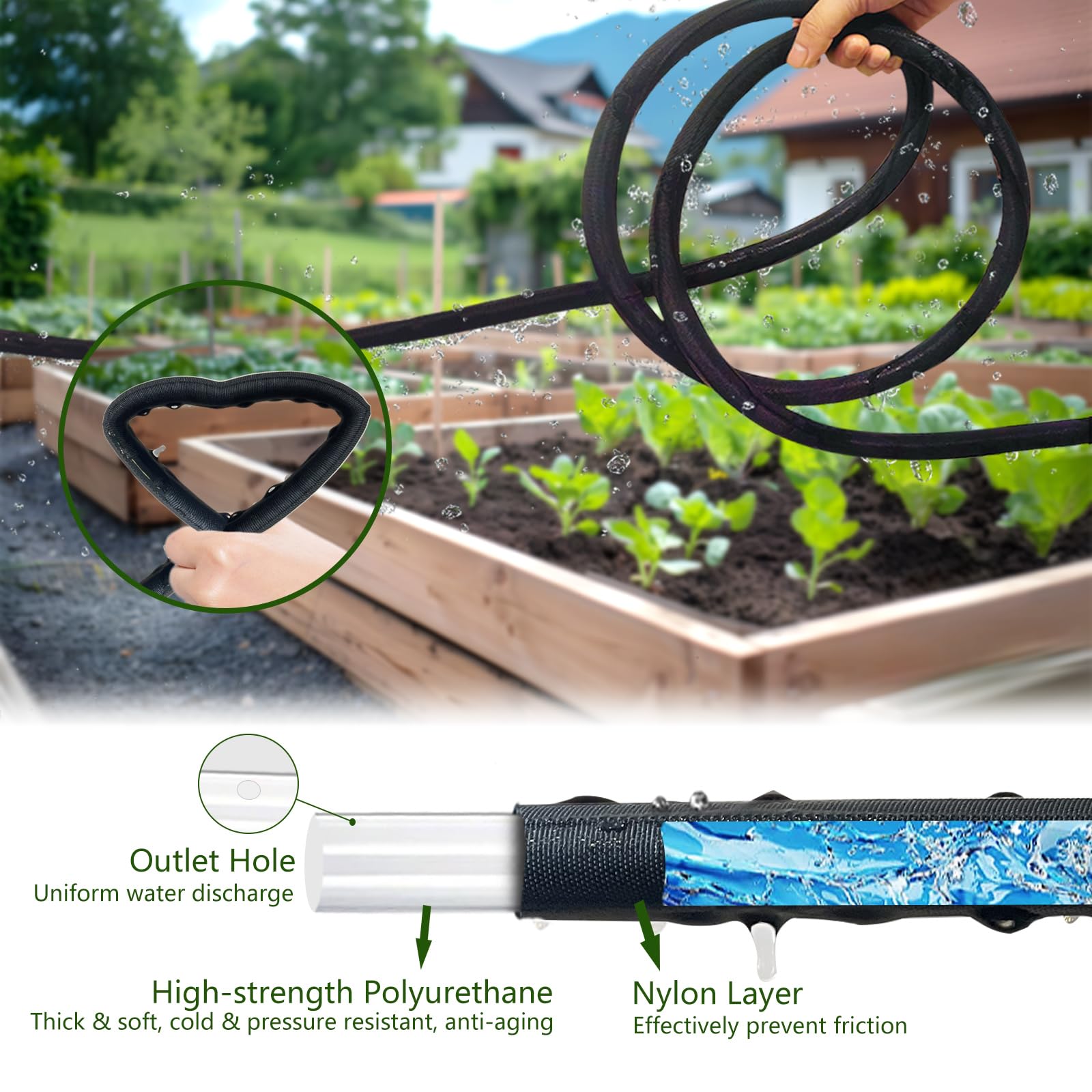 koulate hose partially buried under mulch to reduce evaporation and save water