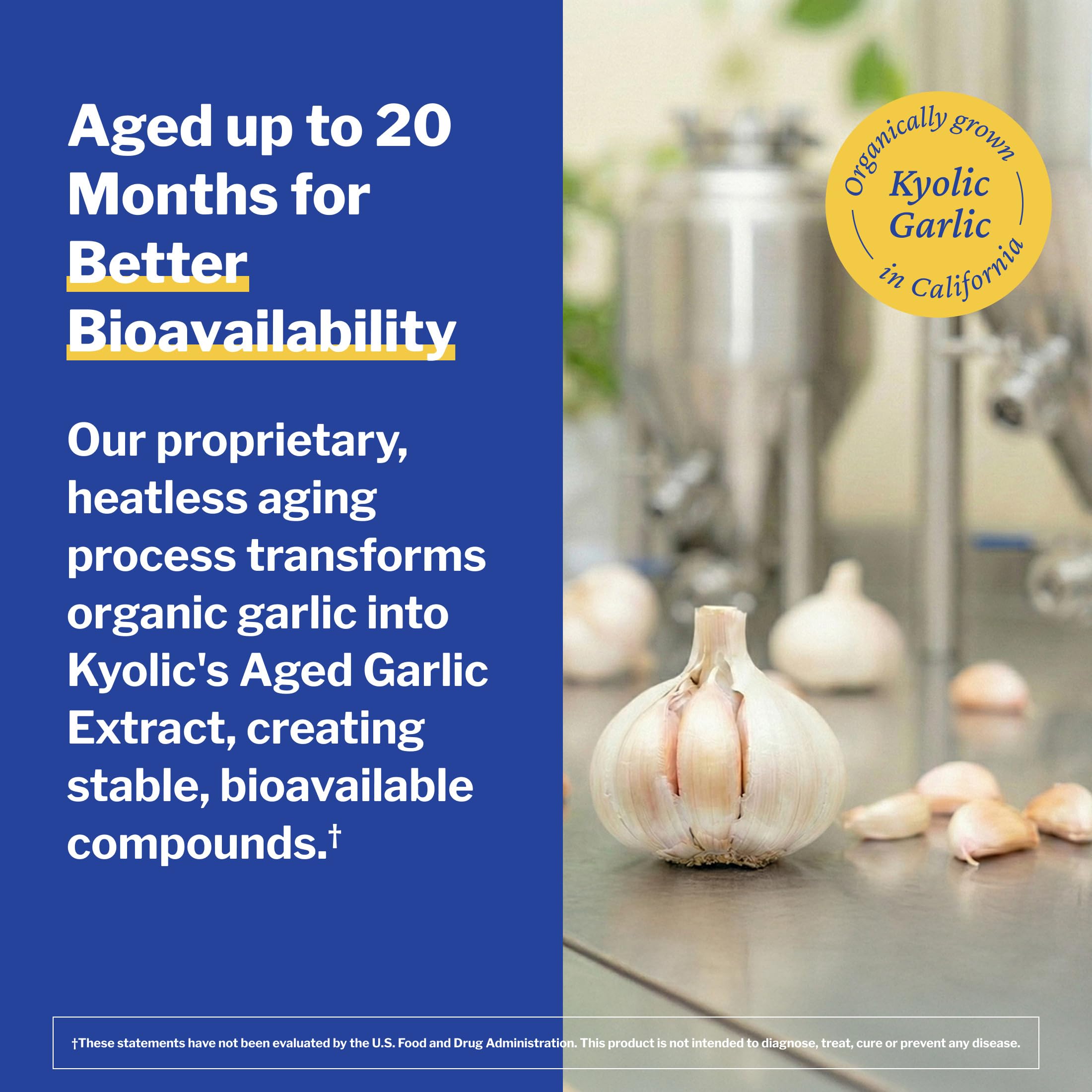 Kyolic capsules beside a ruler to show serving size and dose clarity