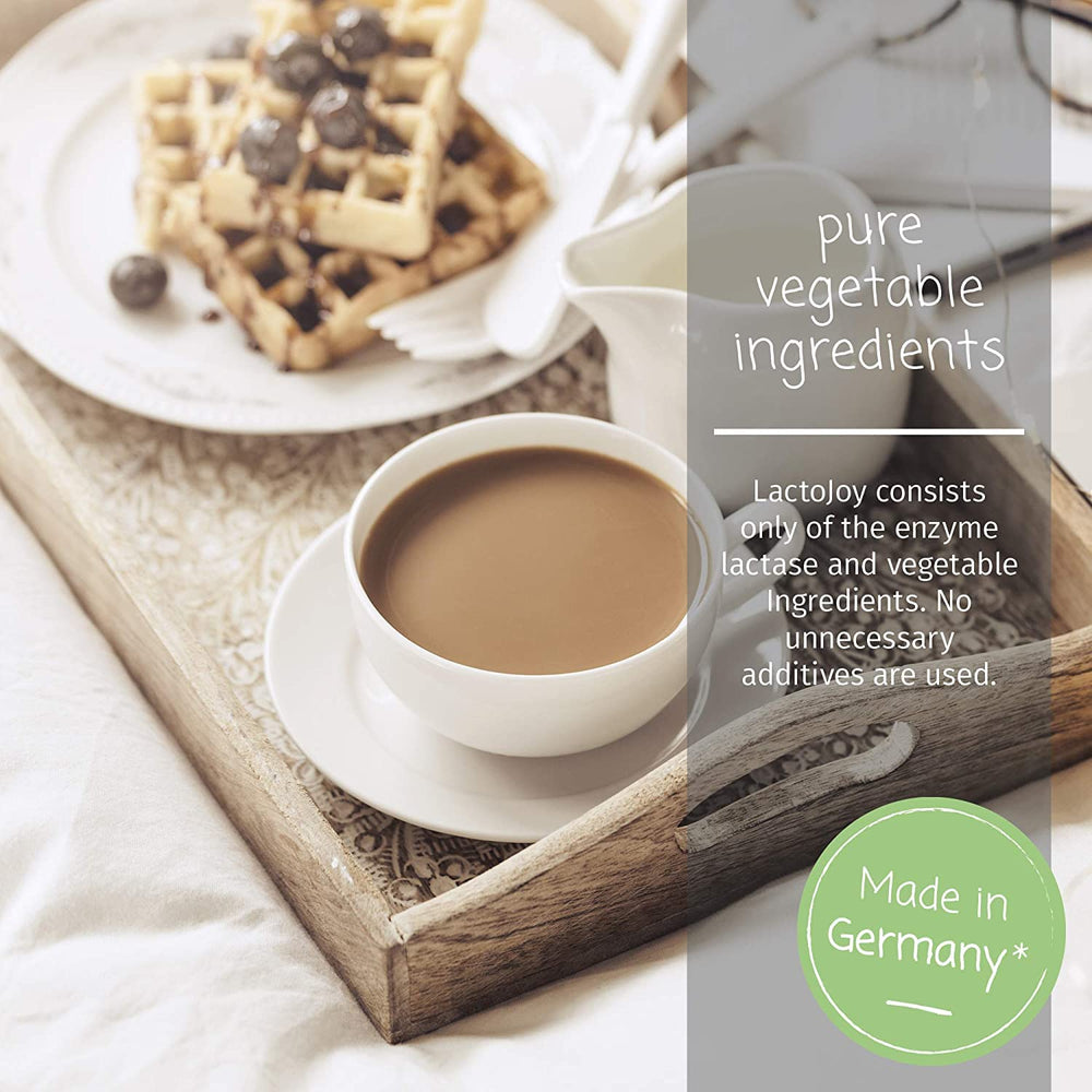 LactoJoy ingredients label close-up listing lactase and absence of additives benefit