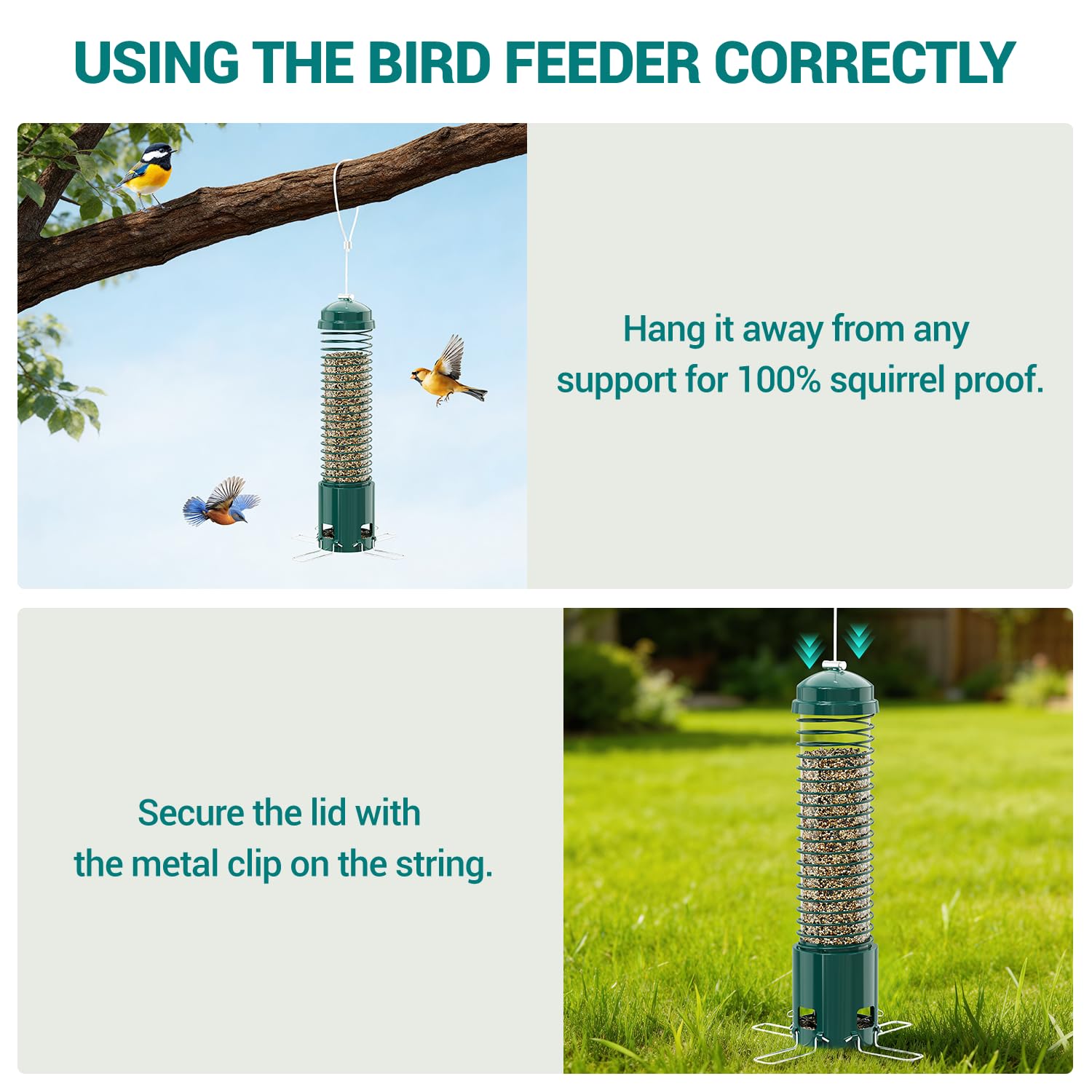 LCSEVEN feeder hanging in backyard attracting birds and improving birdwatching