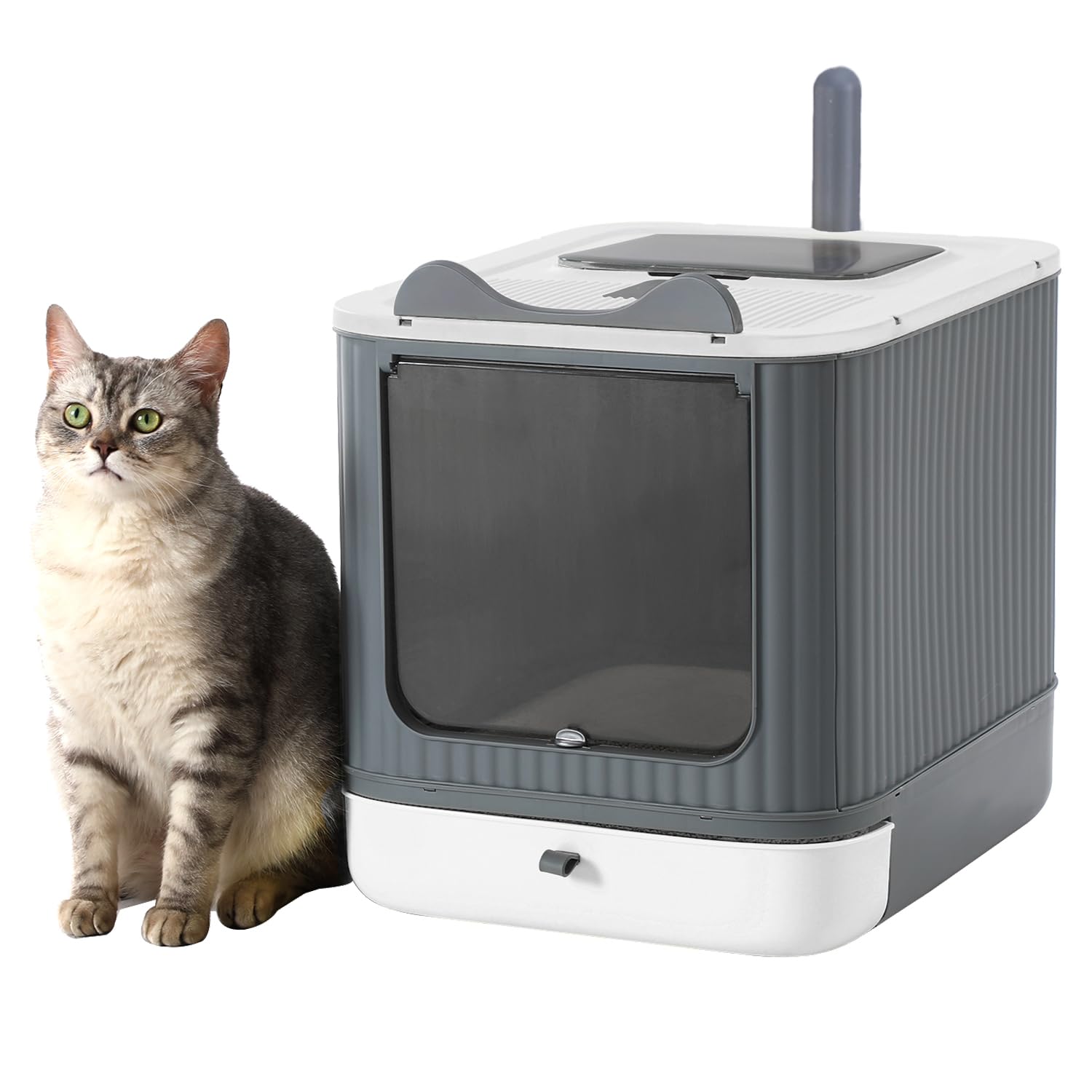 LCZLBRRD front view of foldable enclosed litter box showing privacy and tidy appearance