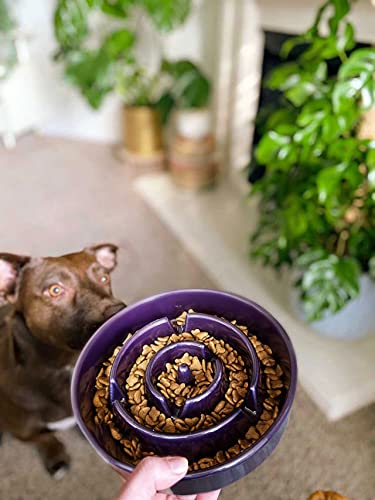 LE TAUCI bowl on kitchen floor in lifestyle scene showing tidy mealtime