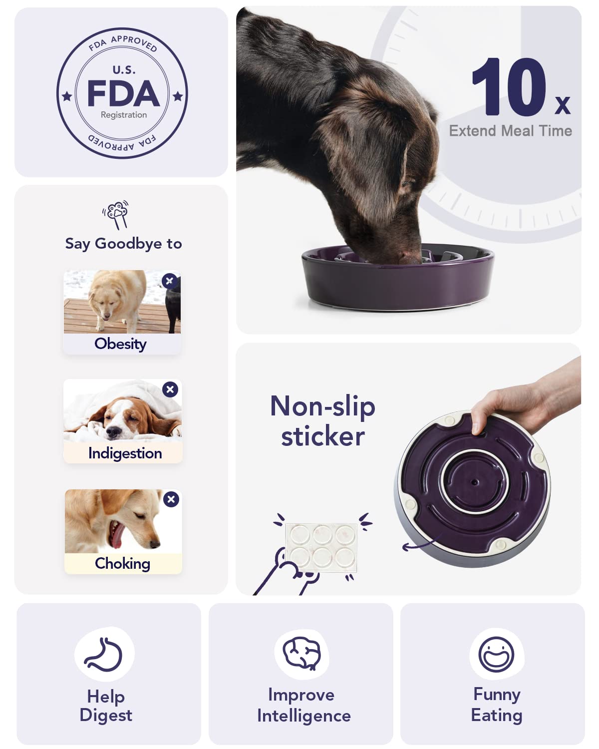 LE TAUCI top view filled with kibble demonstrating portion control benefit