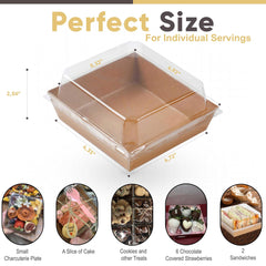 Leafiew clear lid close-up highlighting visibility and protection