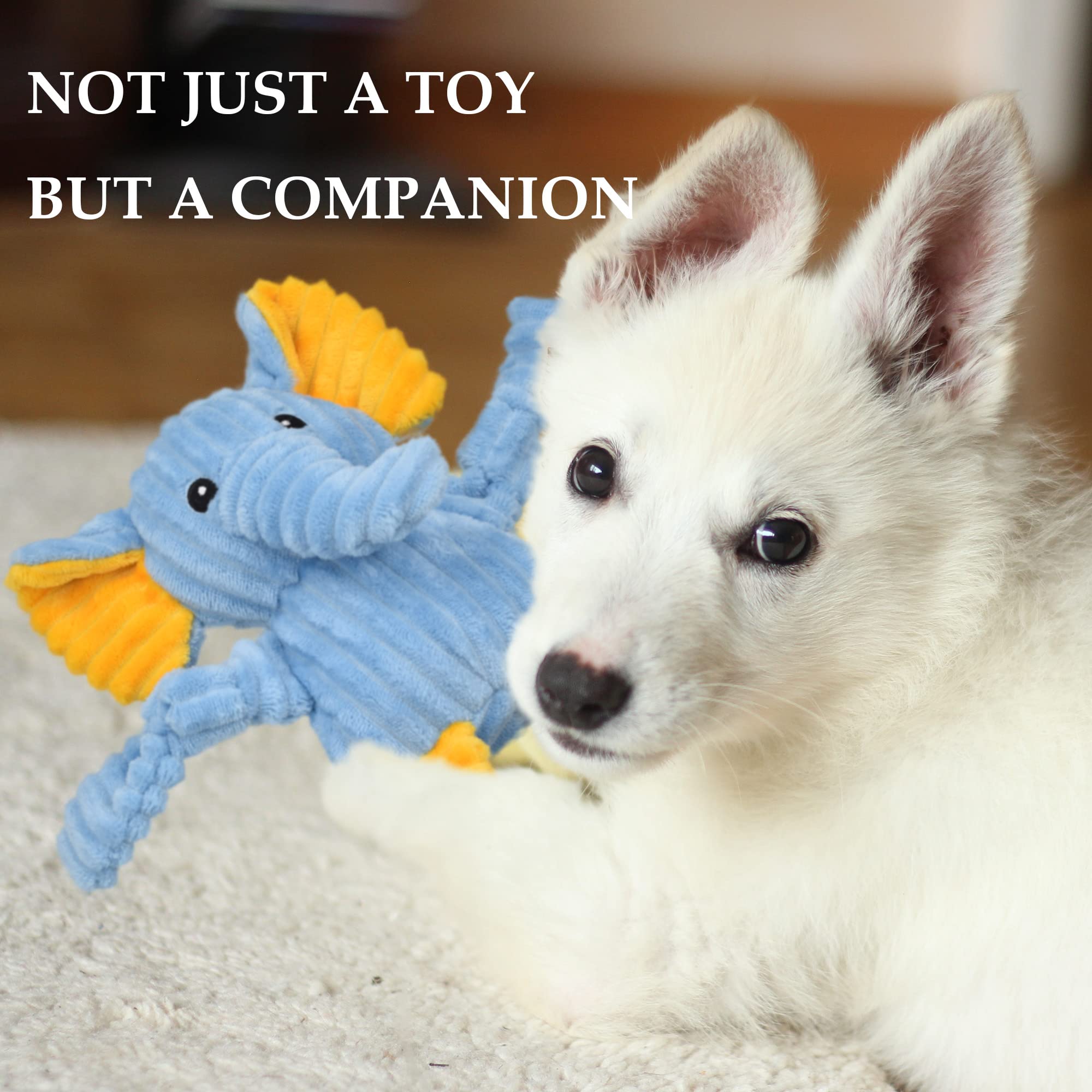 LECHONG elephant in play with dog demonstrating interactive fun