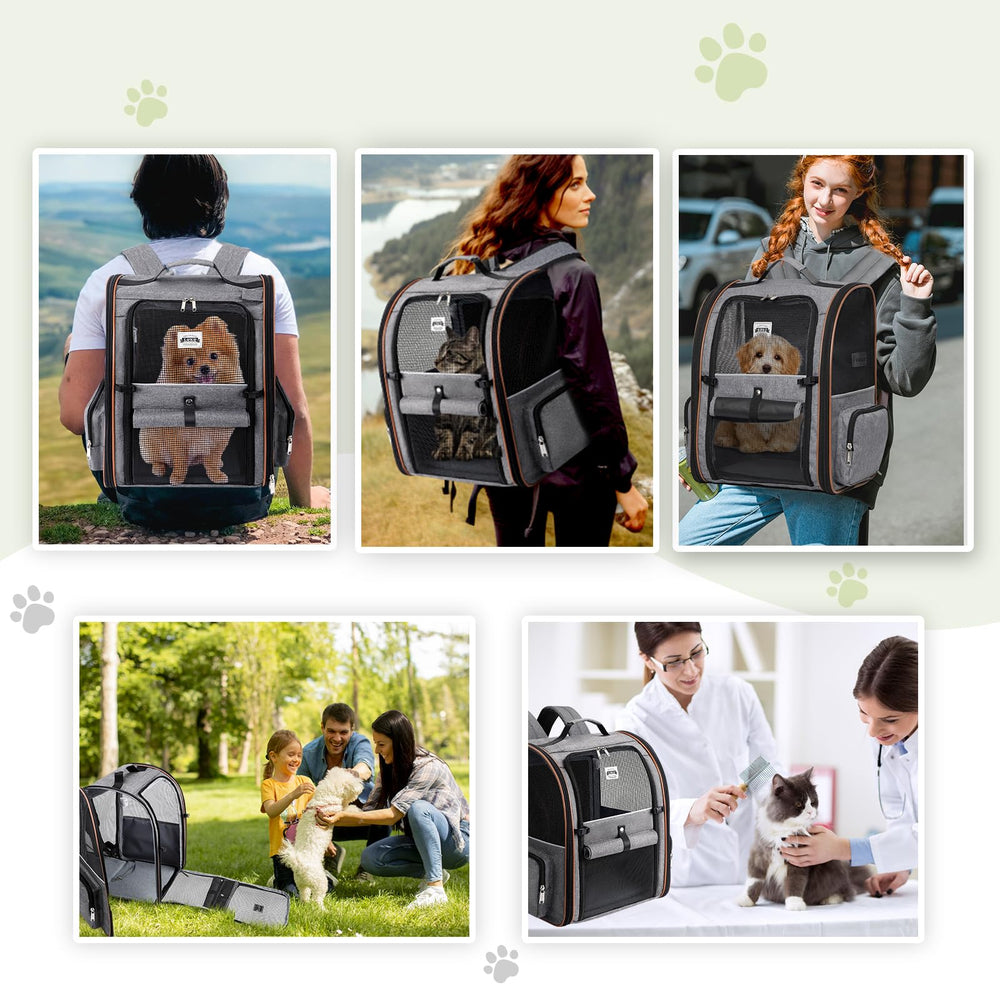 Lekebobor pet inside carrier on hiking trail illustrating outdoor use