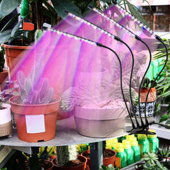 LEOTER close-up of LED array highlighting lamp full-spectrum benefit