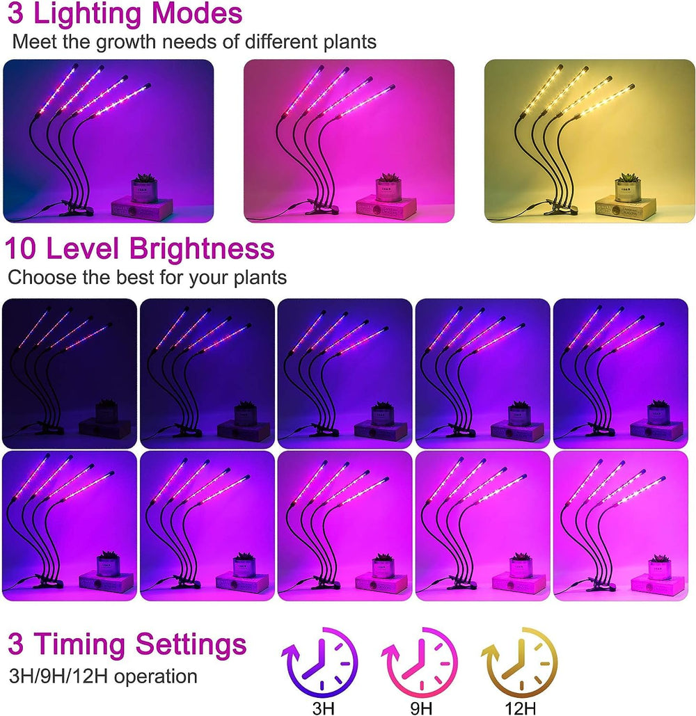 LEOTER lighting seedlings to accelerate growth in small indoor spaces