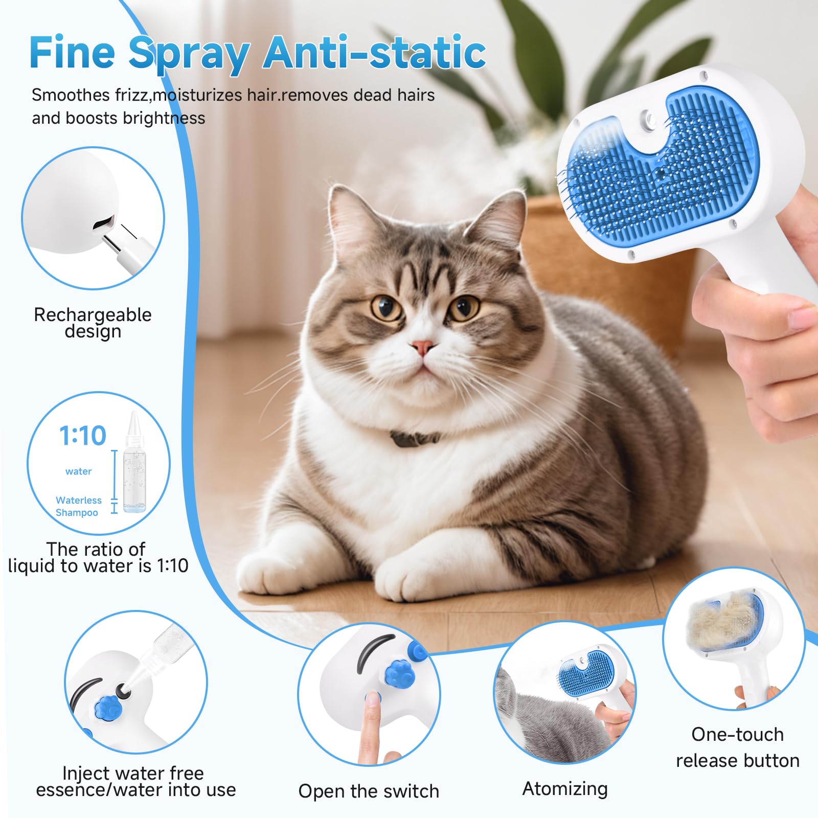 LetsFeed groomer brushing indoor cat gently, reducing shedding comfortably