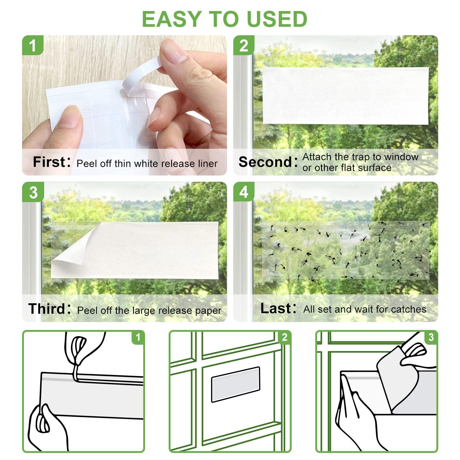 LFSYS used sheet with captured fruit flies, demonstrating effectiveness