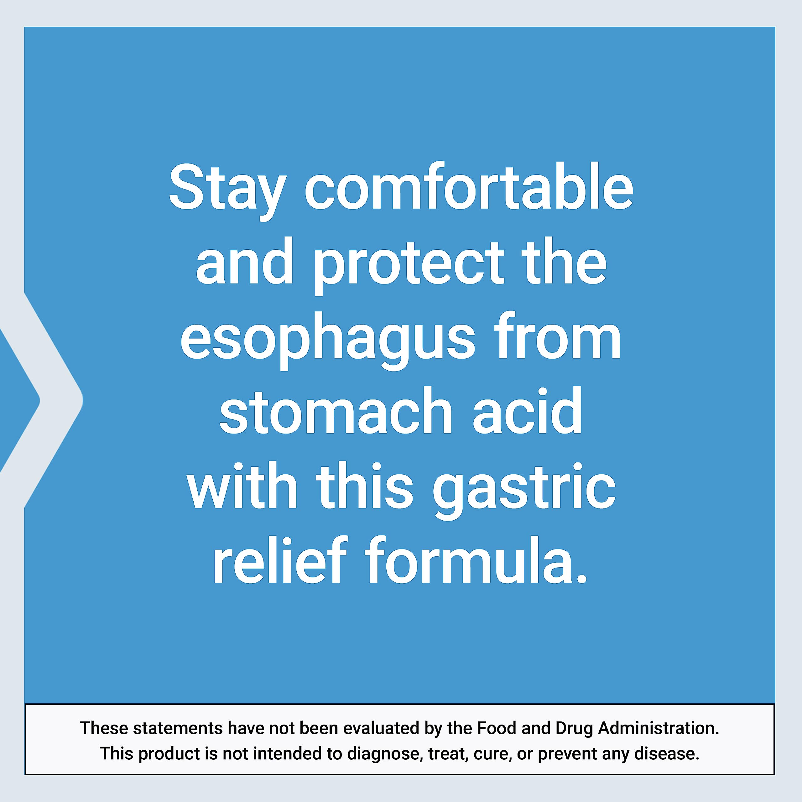 Life Extension ingredient display with alginic acid and minerals benefits