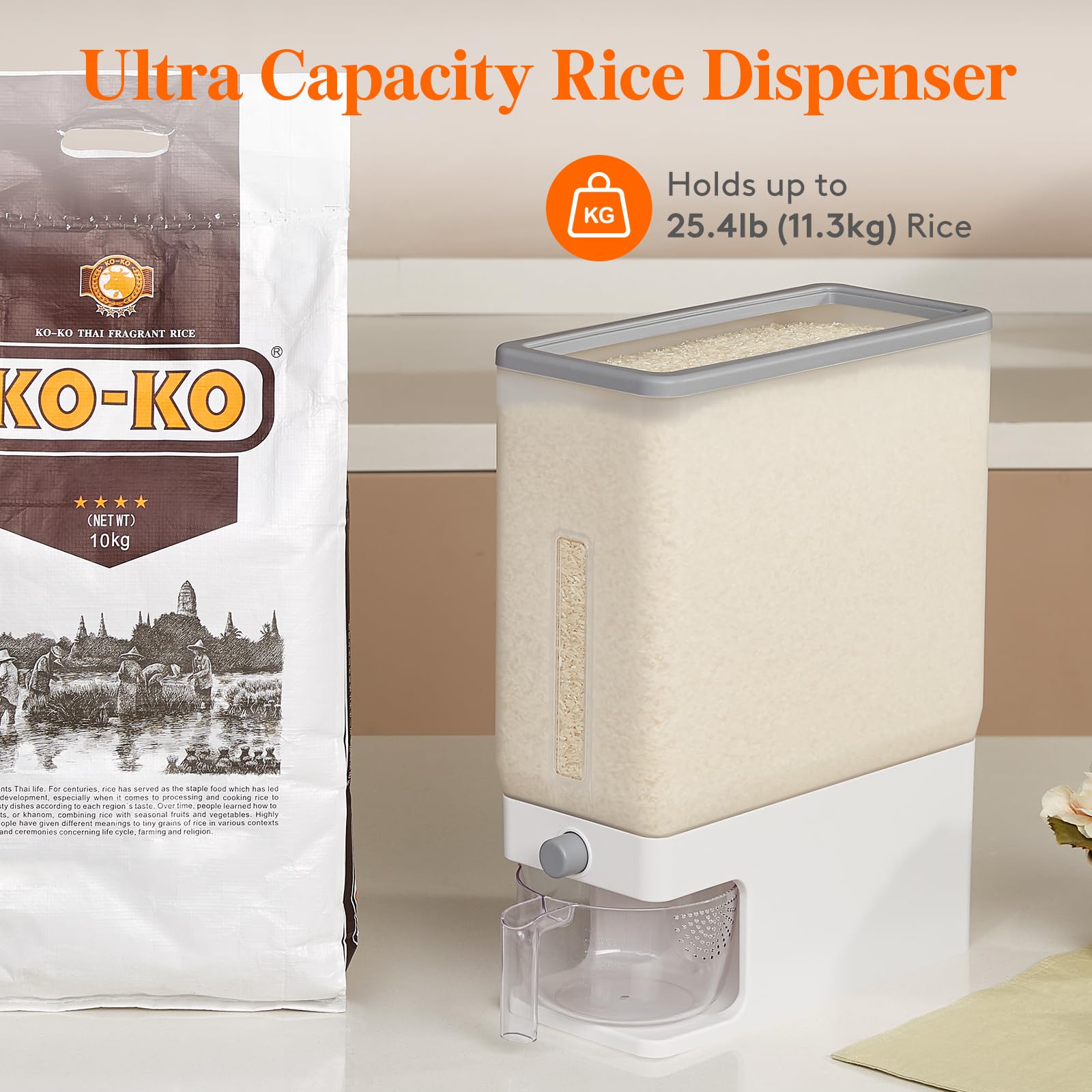 Lifewit container beside common kitchen items showing compact size and capacity