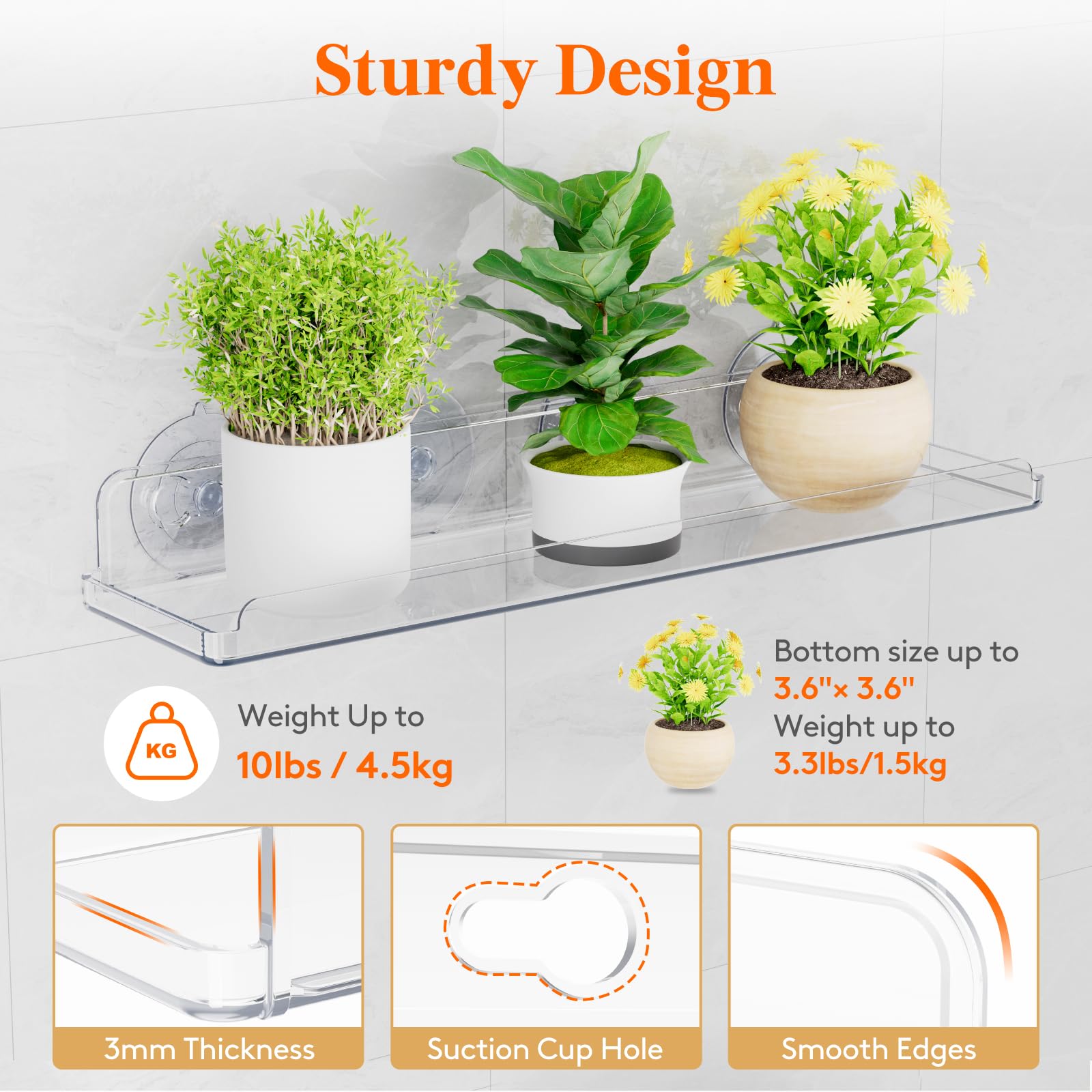 Lifewit shelf holding succulents on sunlit window showing space-saving benefit