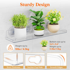 Lifewit shelf holding succulents on sunlit window showing space-saving benefit