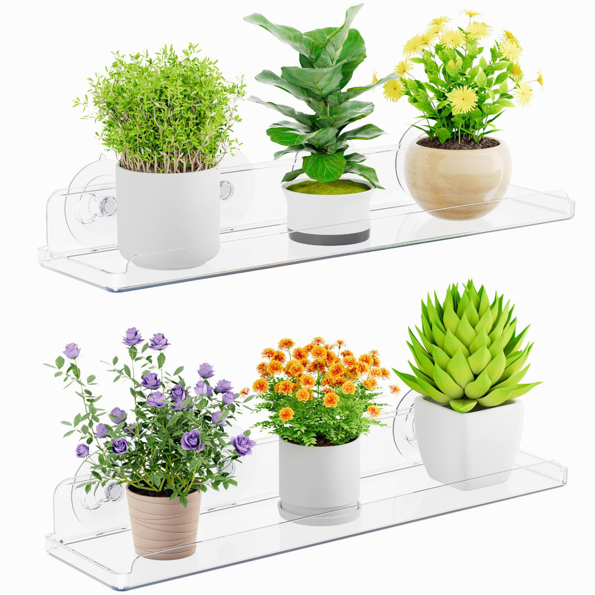 Lifewit front view of clear window shelf showing tidy plant display and visibility benefit